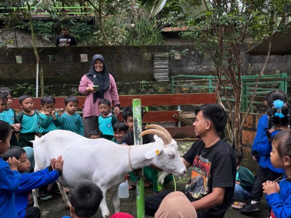 Kunjungan Wisata Edukasi PAUD ke Sahabat Ternak