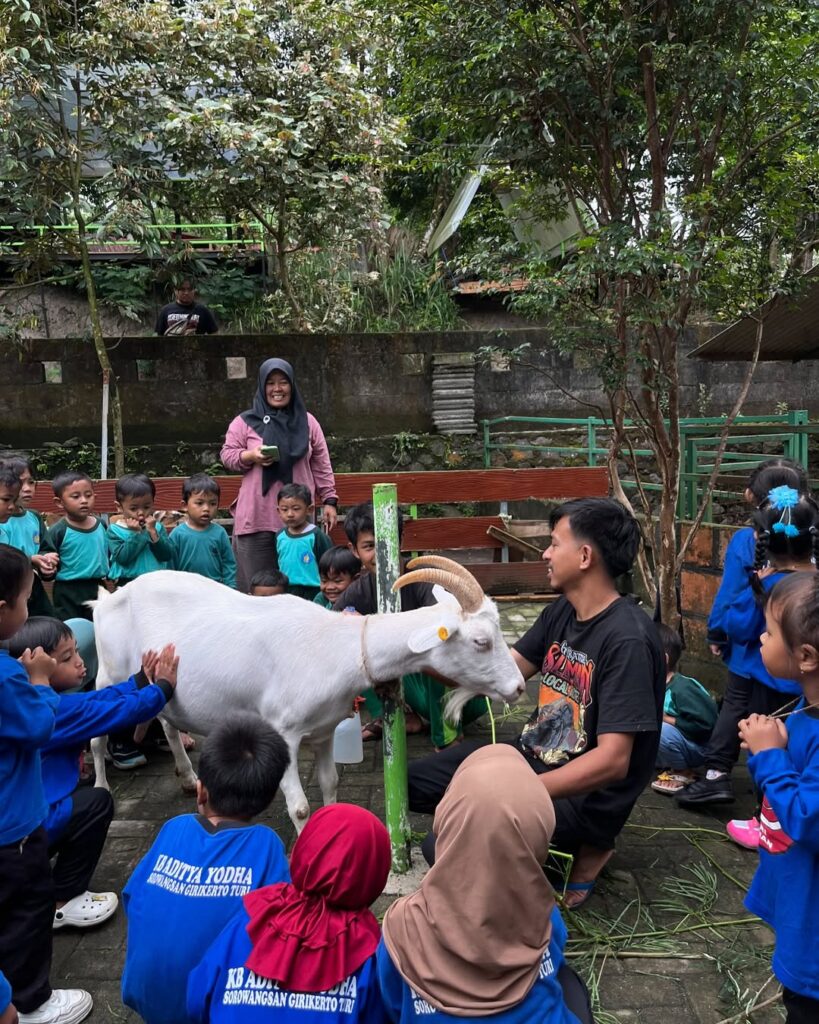 Kunjungan Wisata Edukasi PAUD ke Sahabat Ternak