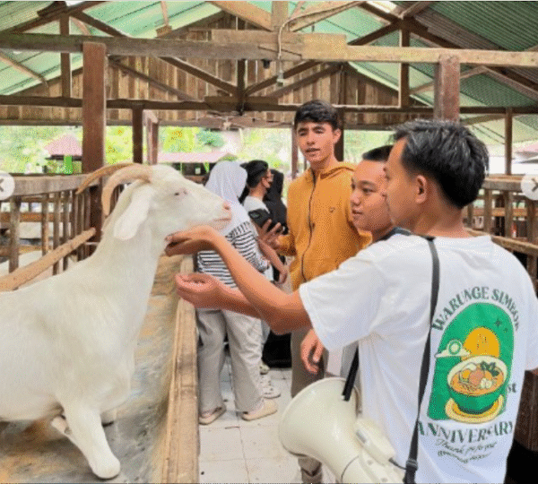 Wisata Edukasi Peternakan