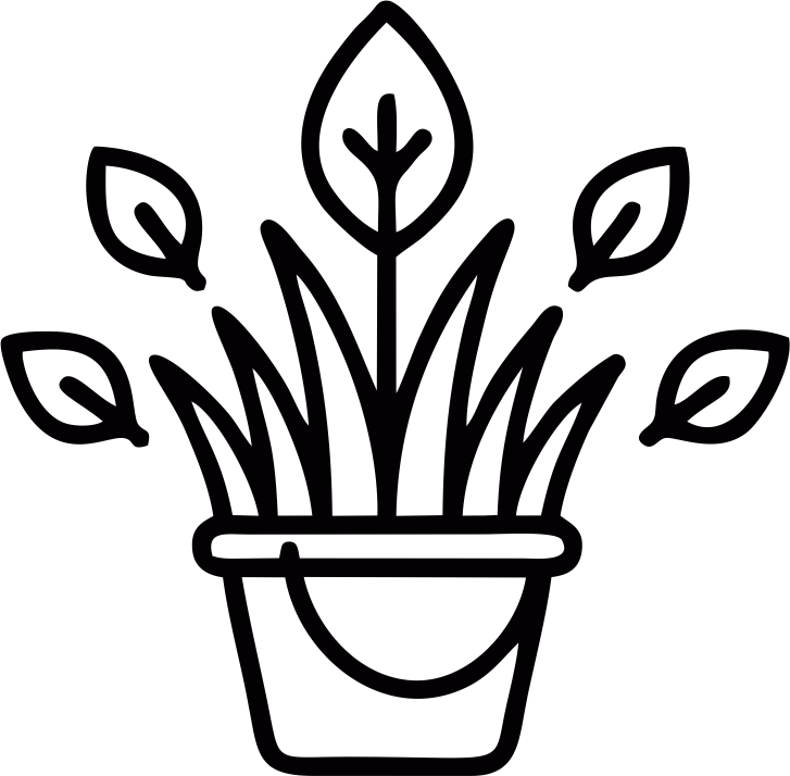 Natural & Organic Feed