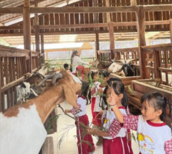 Sahabat Wisata Edukasi