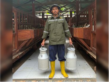 Proses Produksi Susu Kambing Sahabat Ternak dari Hulu ke Hilir