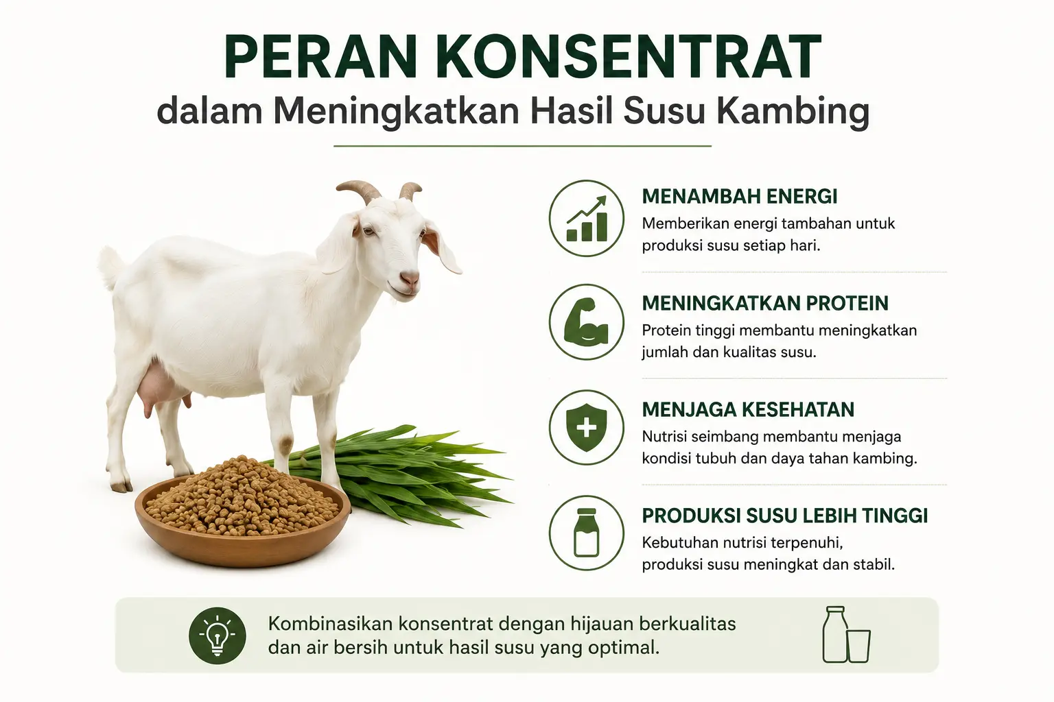 peran konsentrat dalam meningkatkan hasil susu kambing perah