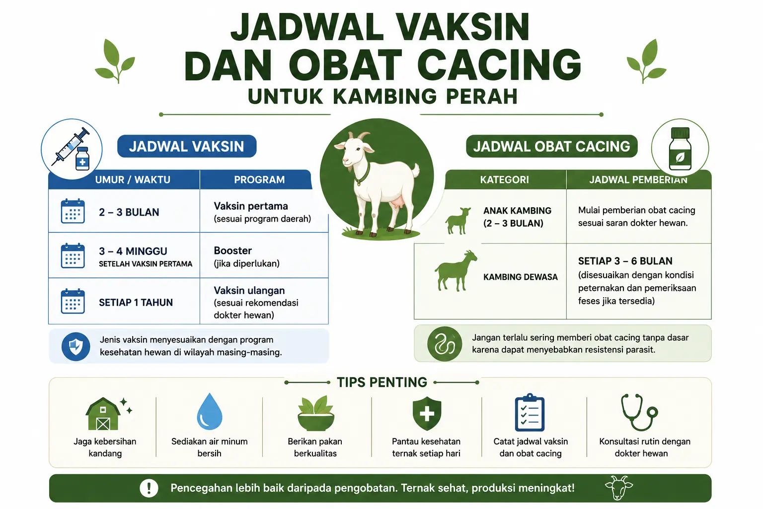 jadwal vaksin dan obat cacing untuk kambing perah agar tetap sehat