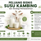peluang bisnis susu kambing dan strategi pemasarannya untuk meningkatkan penjualan